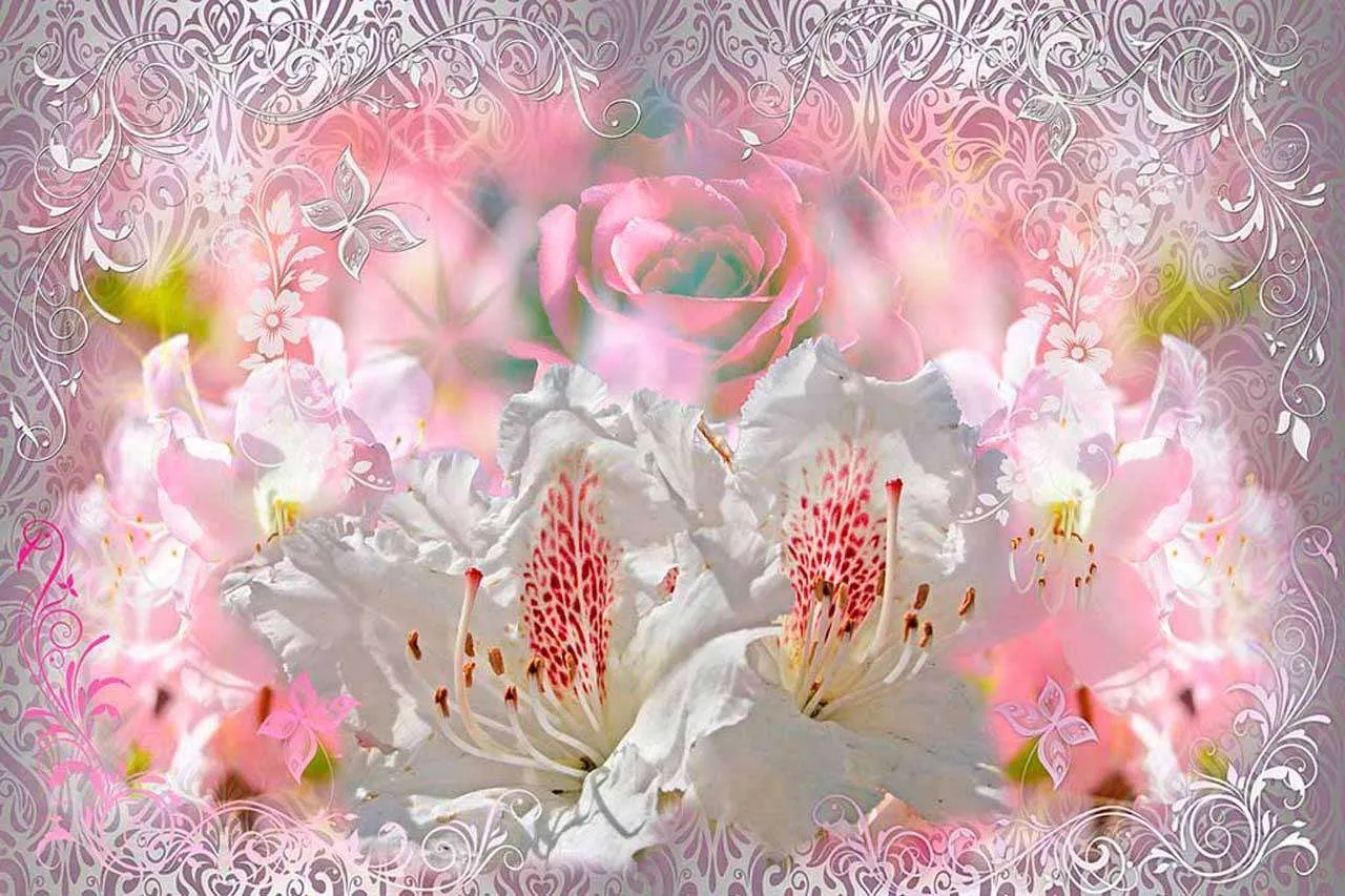 Фотообои в интерьере нежная абстракция  6-080-2 фото