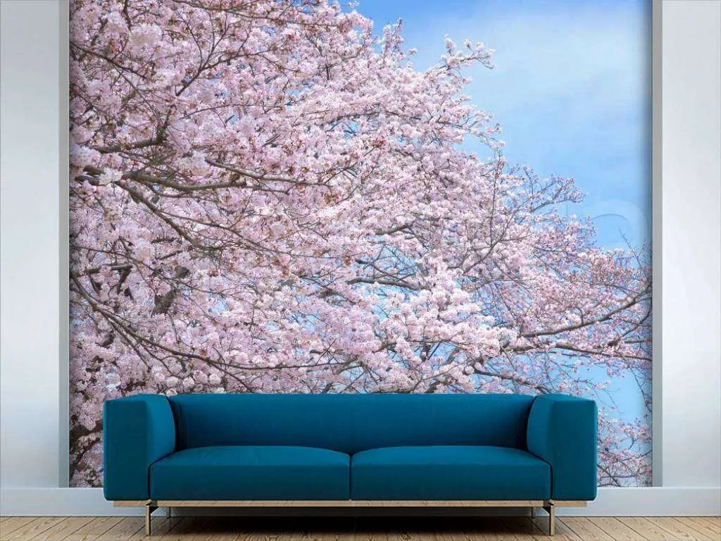 Фотообои Сады сакуры  10-026