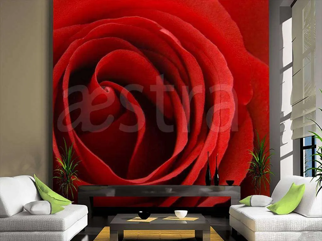 Фотообои Красная роза пышная  10-280