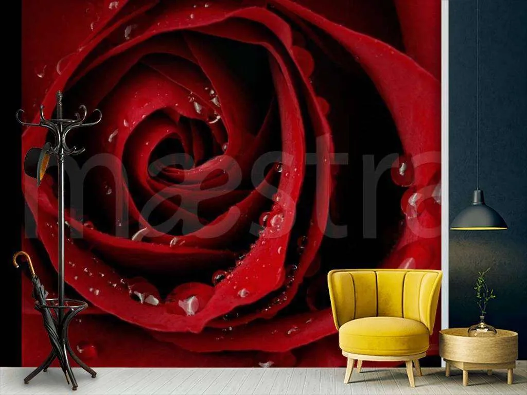 Фотообои Красная роза с капельками росы  10-327