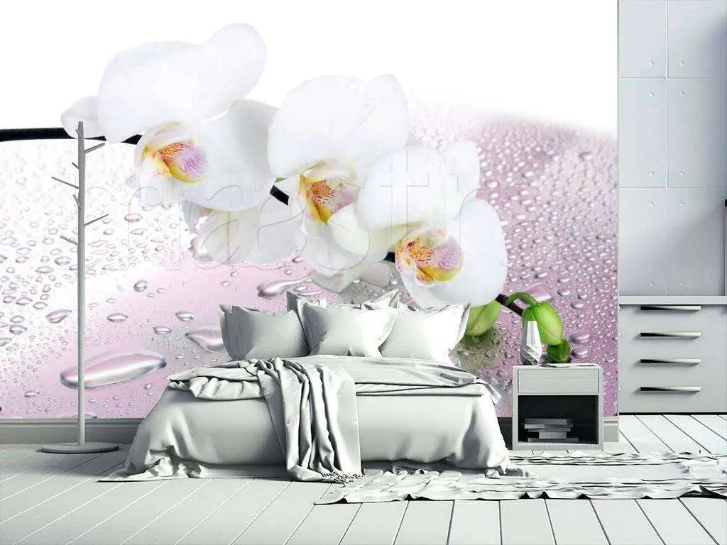 Фотообои в интерьере ветка белой орхидеи с каплями воды 3д  4-011 фото