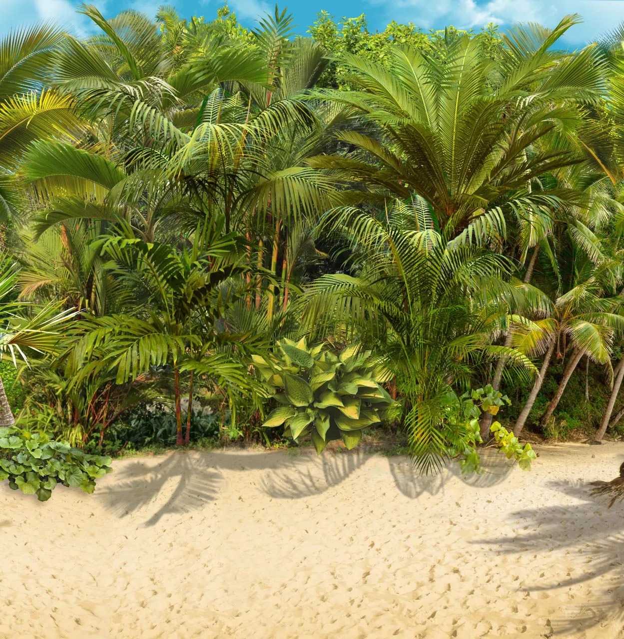 Фотообои в интерьере песчаный дикий пляж  19-0198 фото