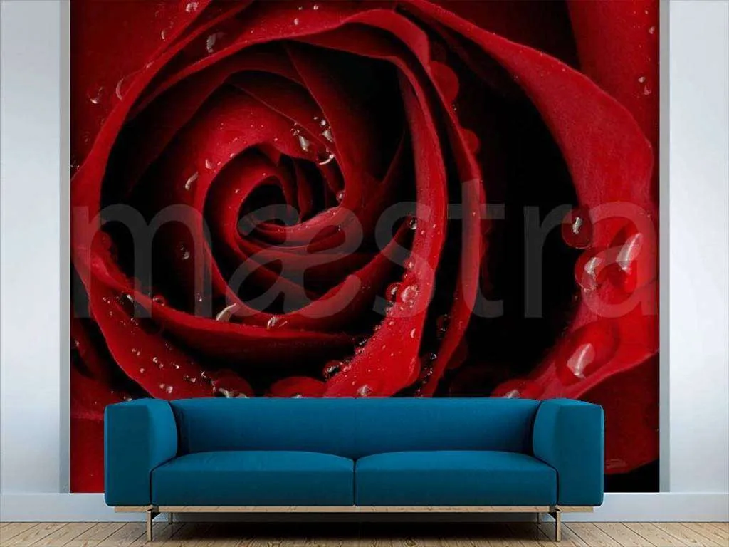 Фотообои Роза с каплями воды насыщенная  10-284