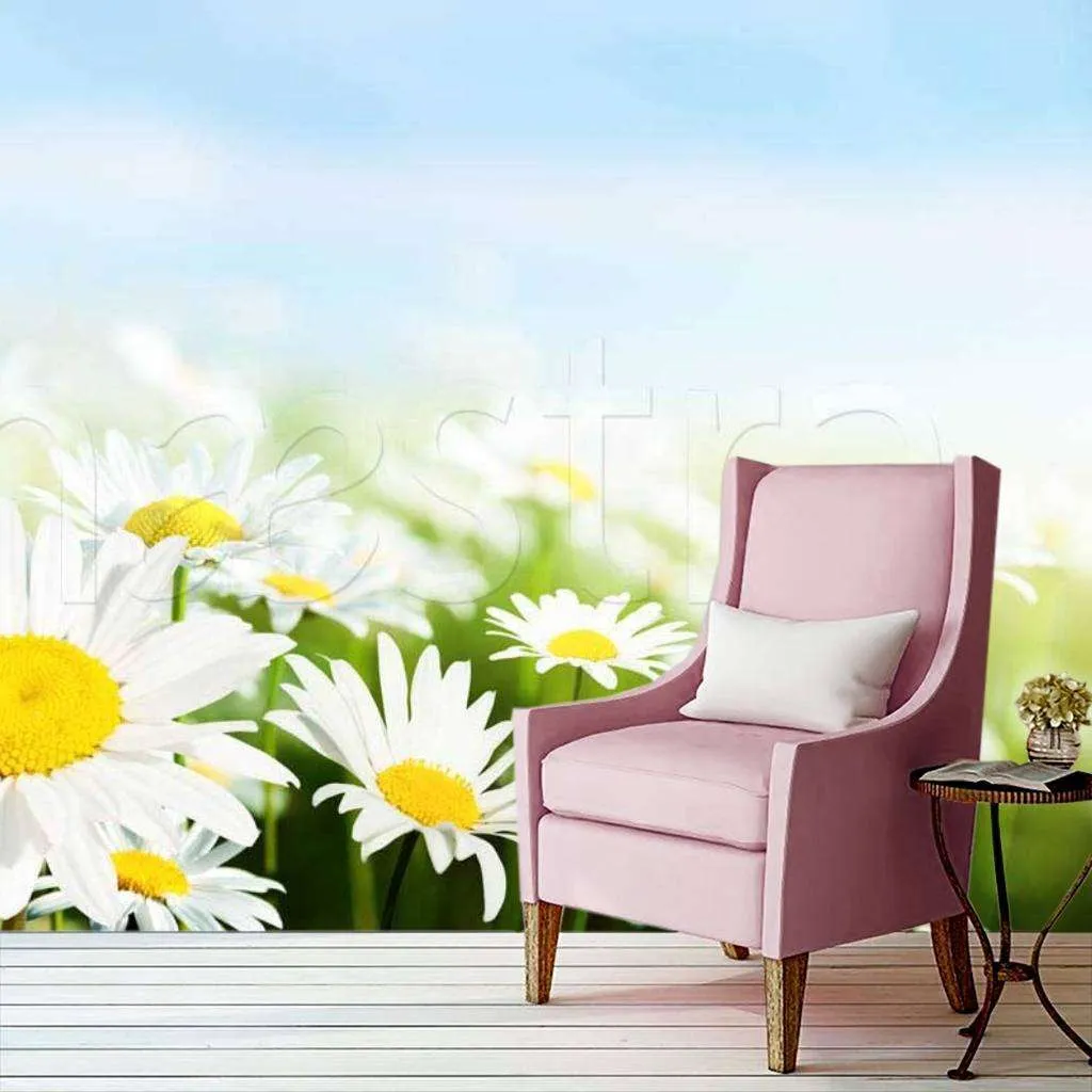 Фотообои Полевые ромашки  10-354