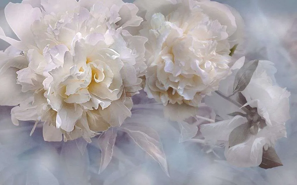 Фотообои в интерьере пион 3д  13-239 фото