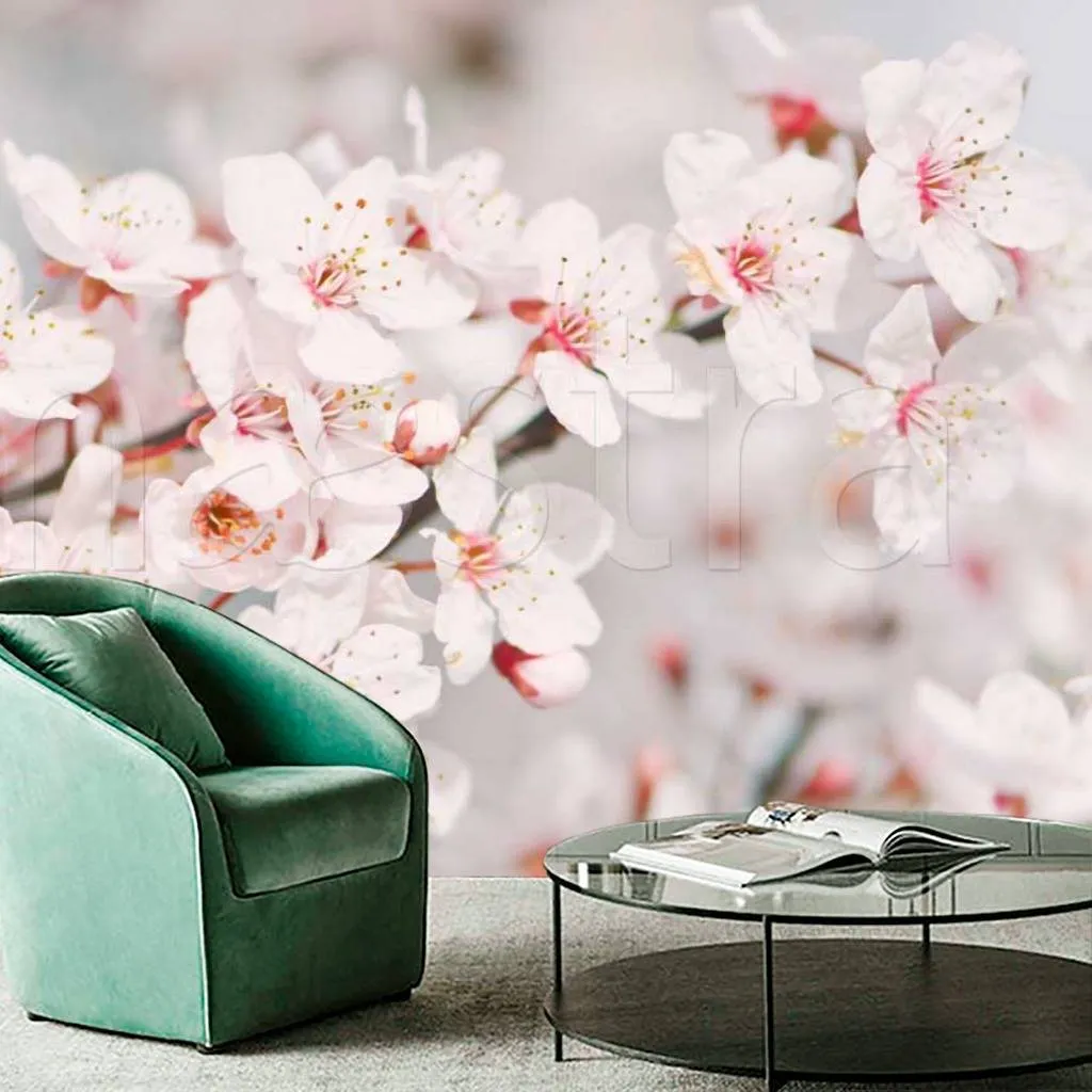 Фотообои Цветы сакуры  10-030