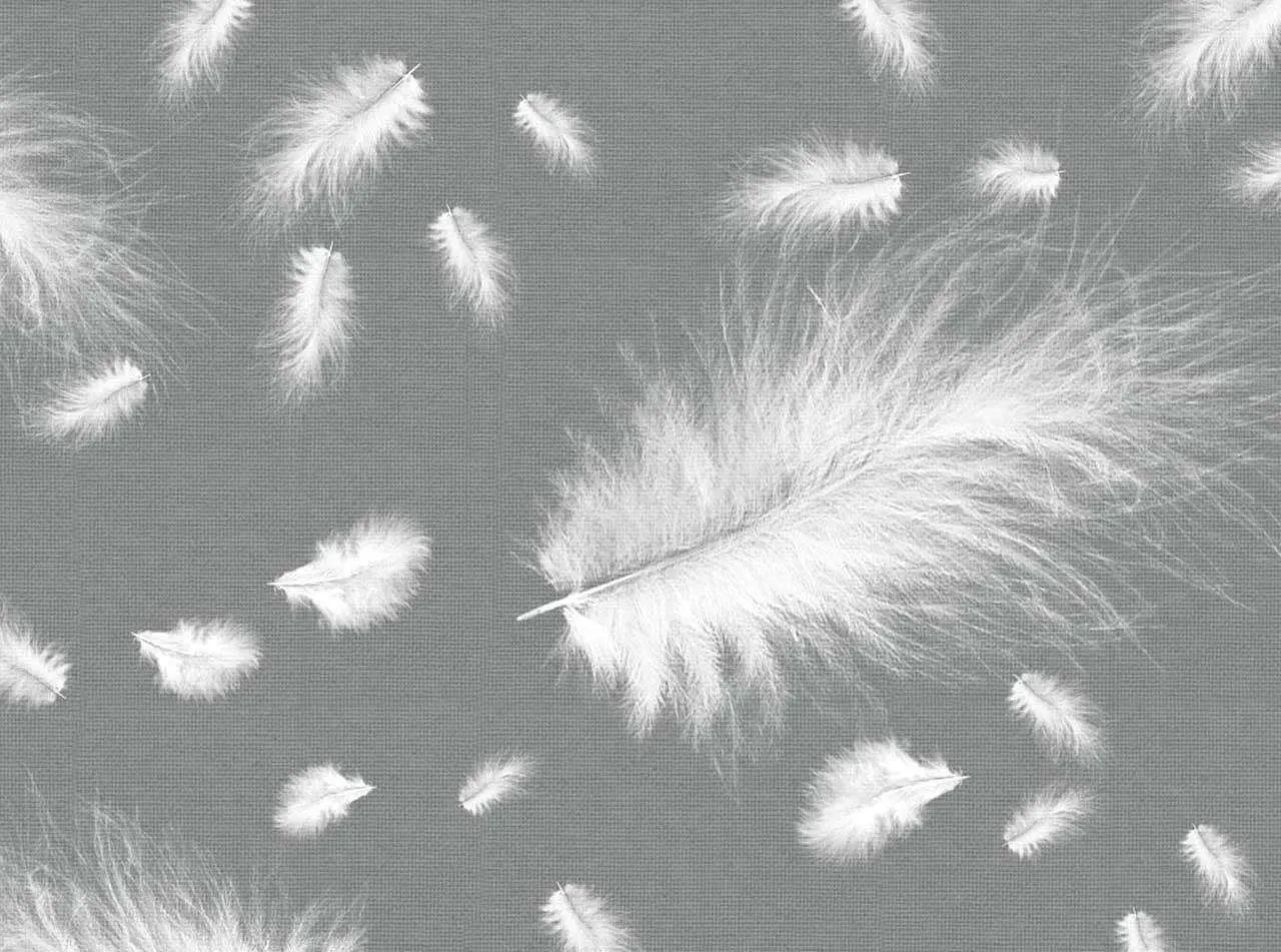 Фотообои в интерьере перо на сером фоне  7-940 фото