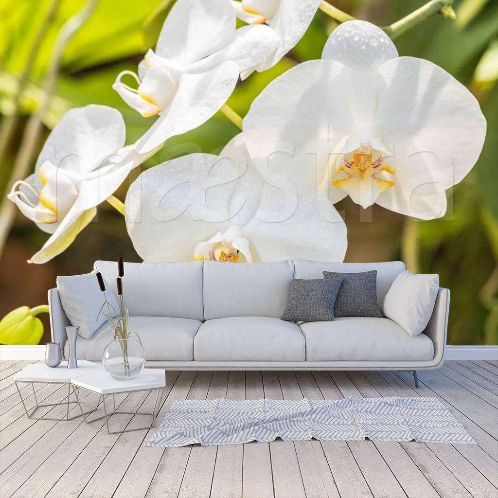 Фотообои Красивая веточка орхидеи  10-186