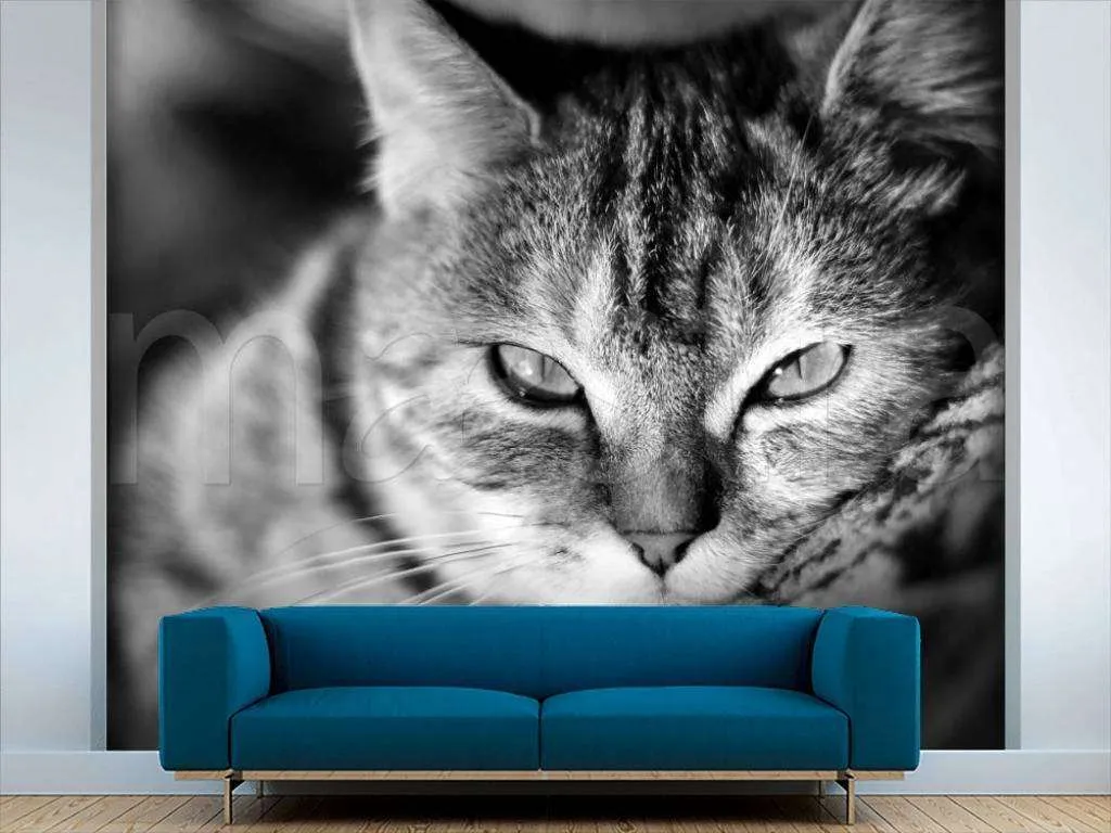 Фотообои Серая кошка  4-180
