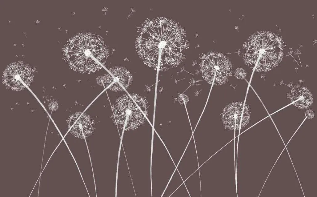 Фотообои в интерьере одуванчики на коричневом фоне  14-528 фото