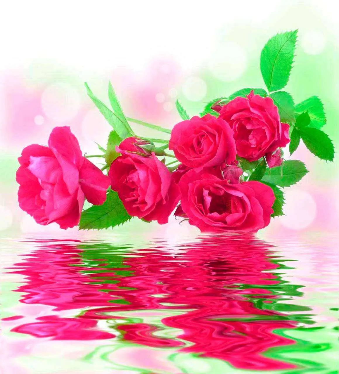 Фотообои в интерьере насыщенные розы над водой  10-271 фото