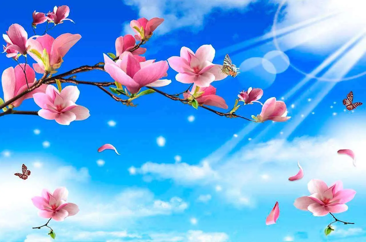 Фотообои в интерьере цветущая ветка сакуры  4-096 фото