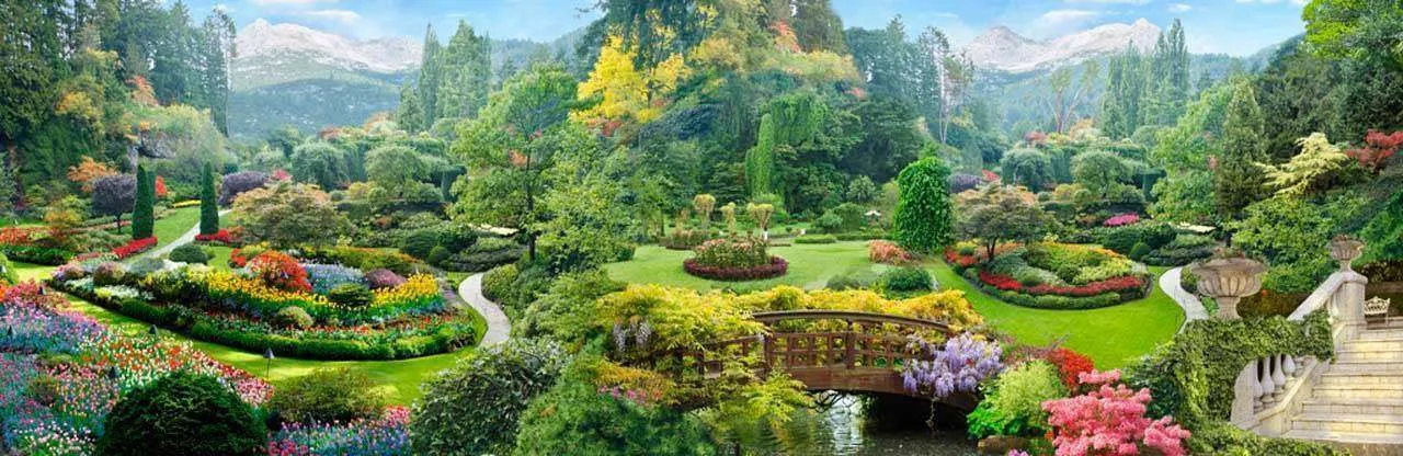 Фотообои в интерьере парк панорама  7-989 фото