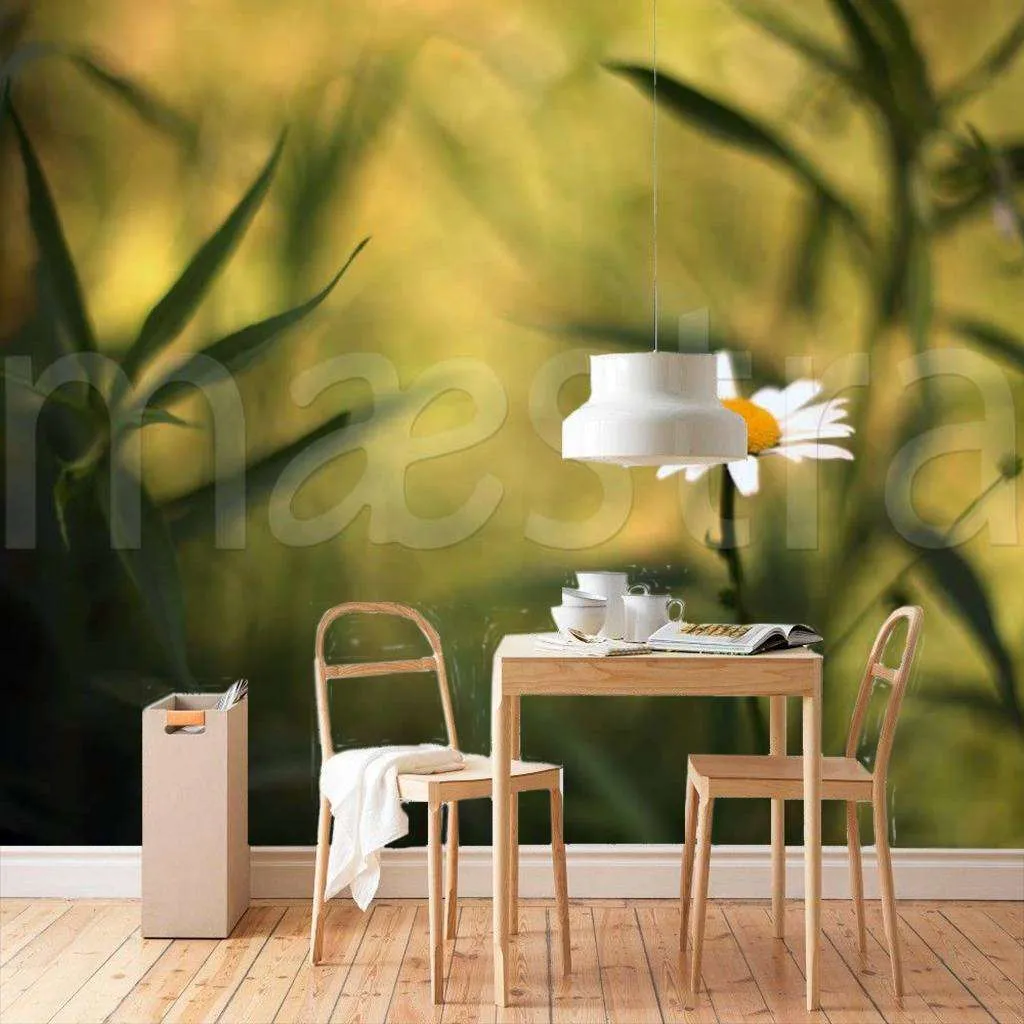 Фотообои Цветок ромашки на темном фоне  4-039