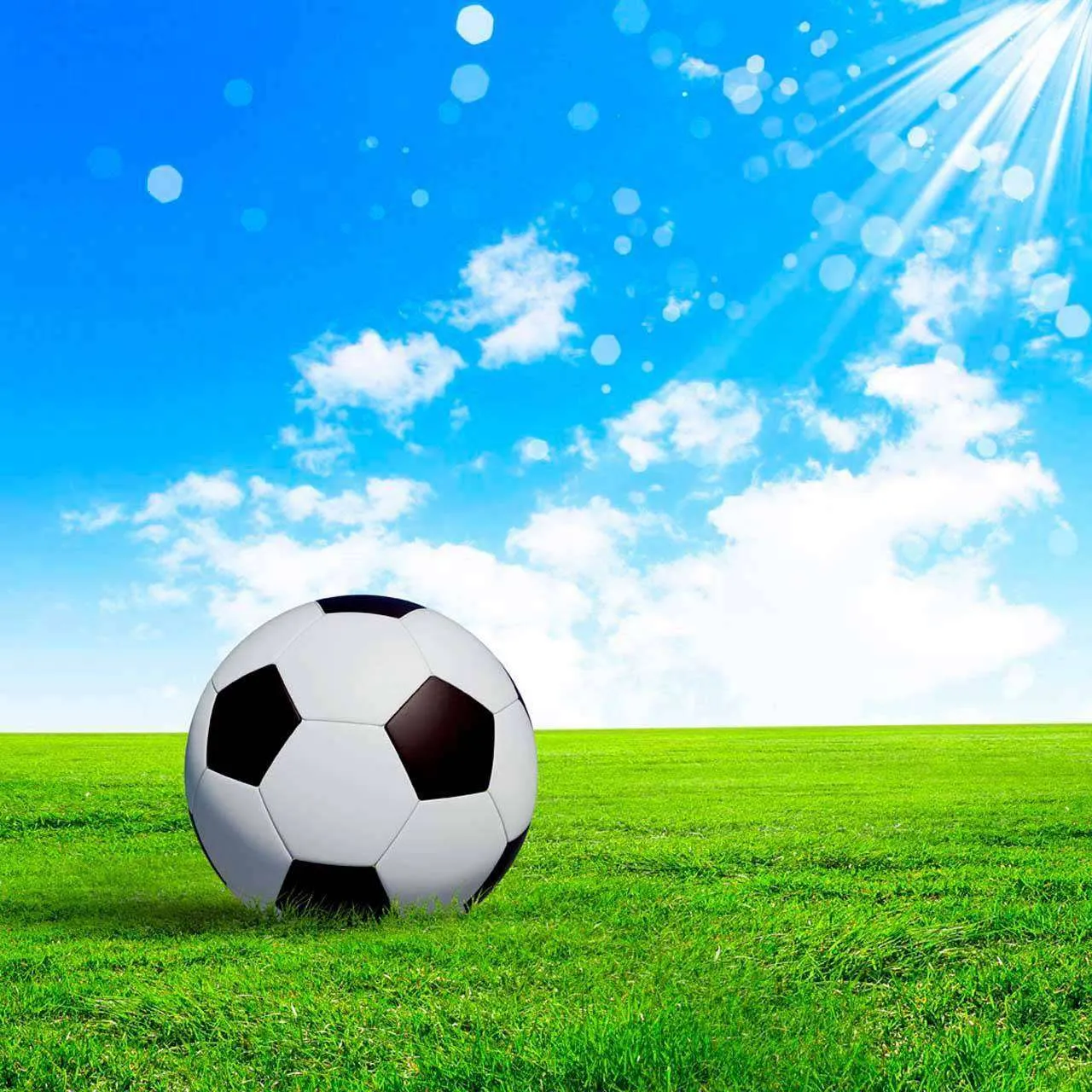 Фотообои в интерьере мяч под солнцем  12-535 фото