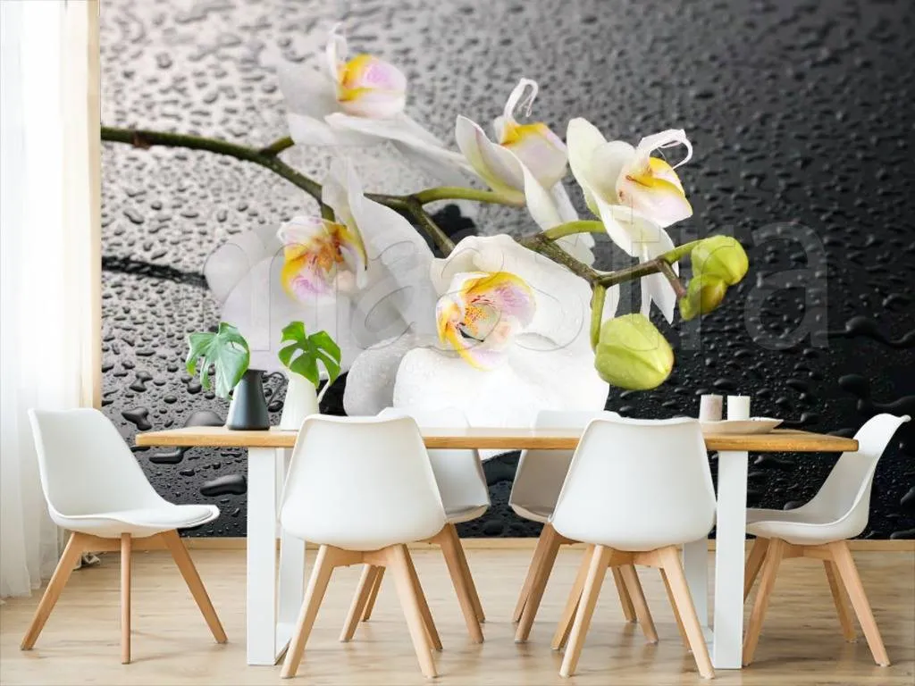 Фотообои в интерьере белая орхидея 3д  4-004 фото