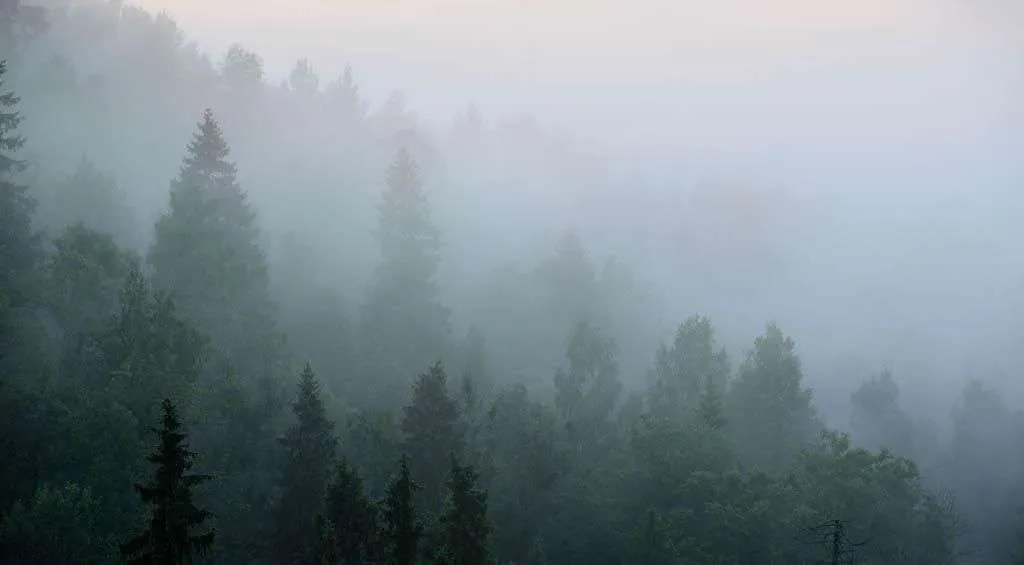 Фотообои в интерьере рассвет в тумане  9-1166 фото