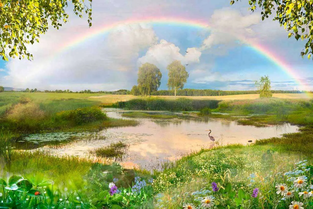 Фотообои в интерьере радуга над рекой  7-465 фото