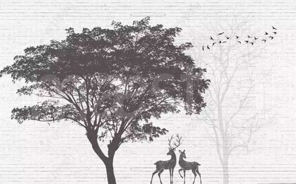 Фотообои в интерьере дерево черно белое  15-486 фото