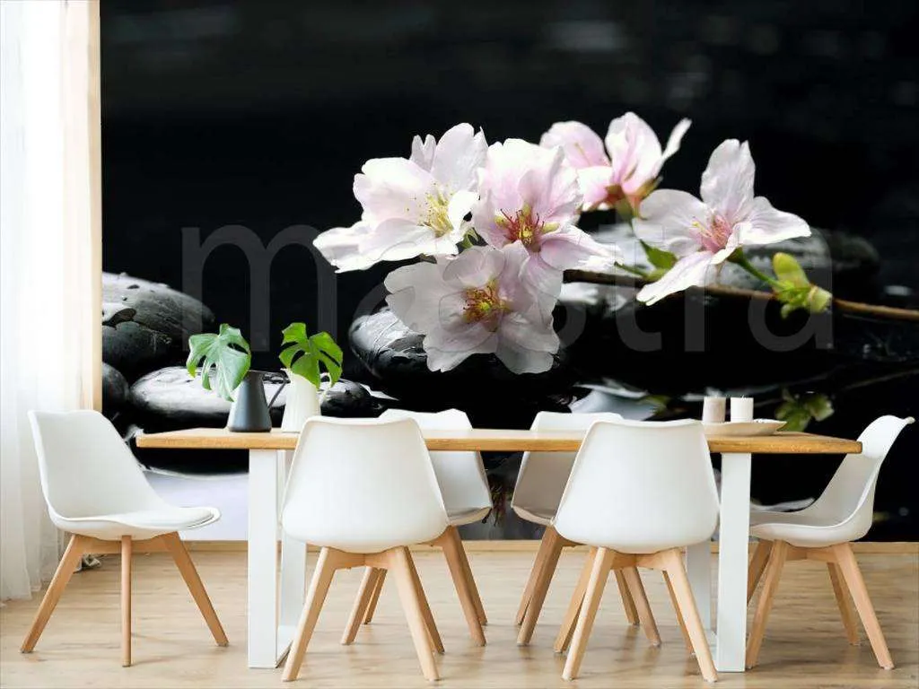 Фотообои Цветок белой орхидеи и камни  4-017