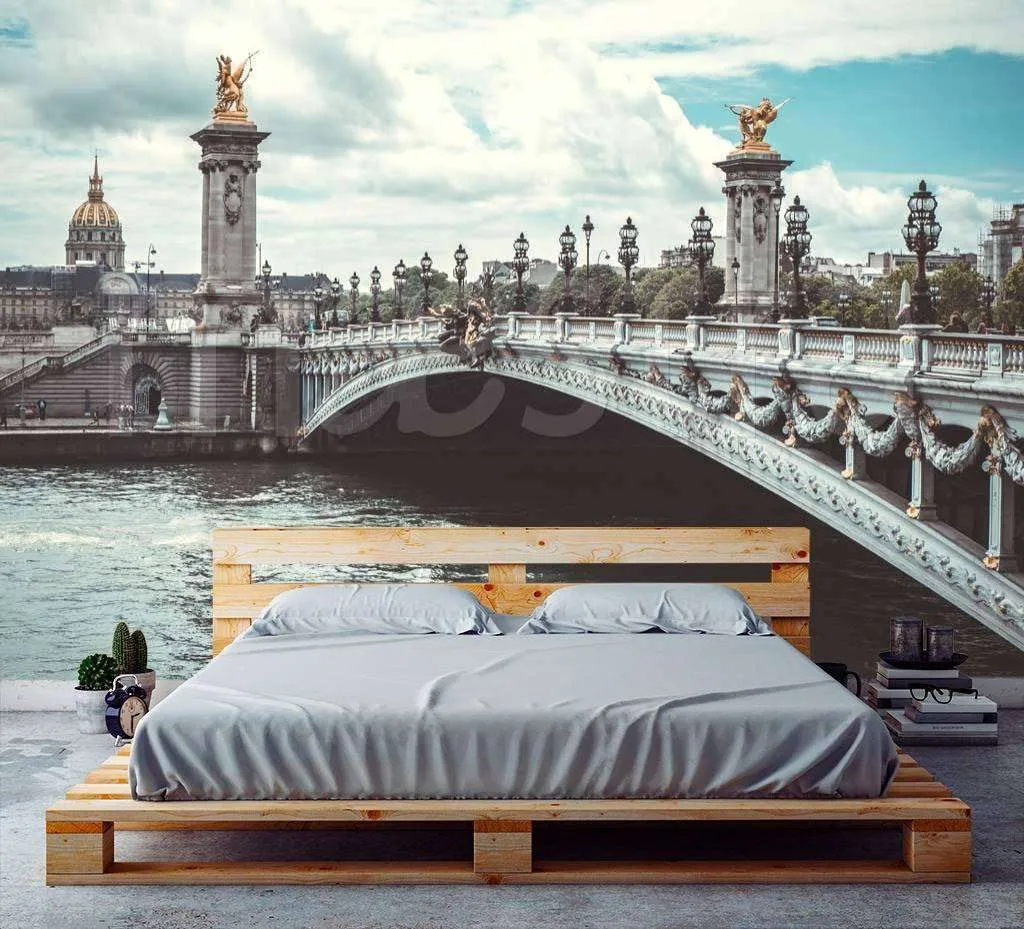 Фотообои в интерьере мост в париже  9-735 фото