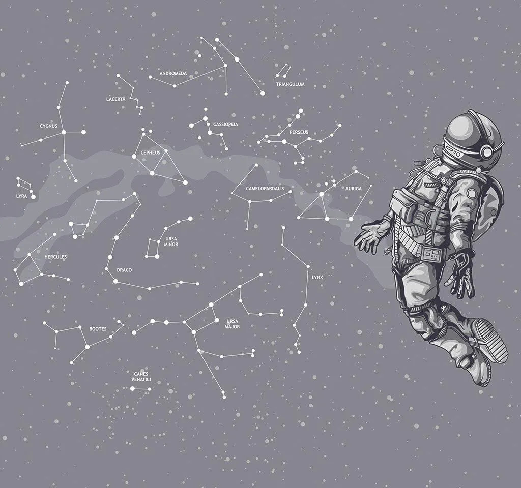 Фотообои в интерьере космонавт  14-430 фото