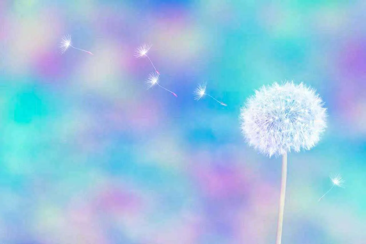 Фотообои в интерьере зрелый одуванчик с семенами на голубым небом  10-077 фото