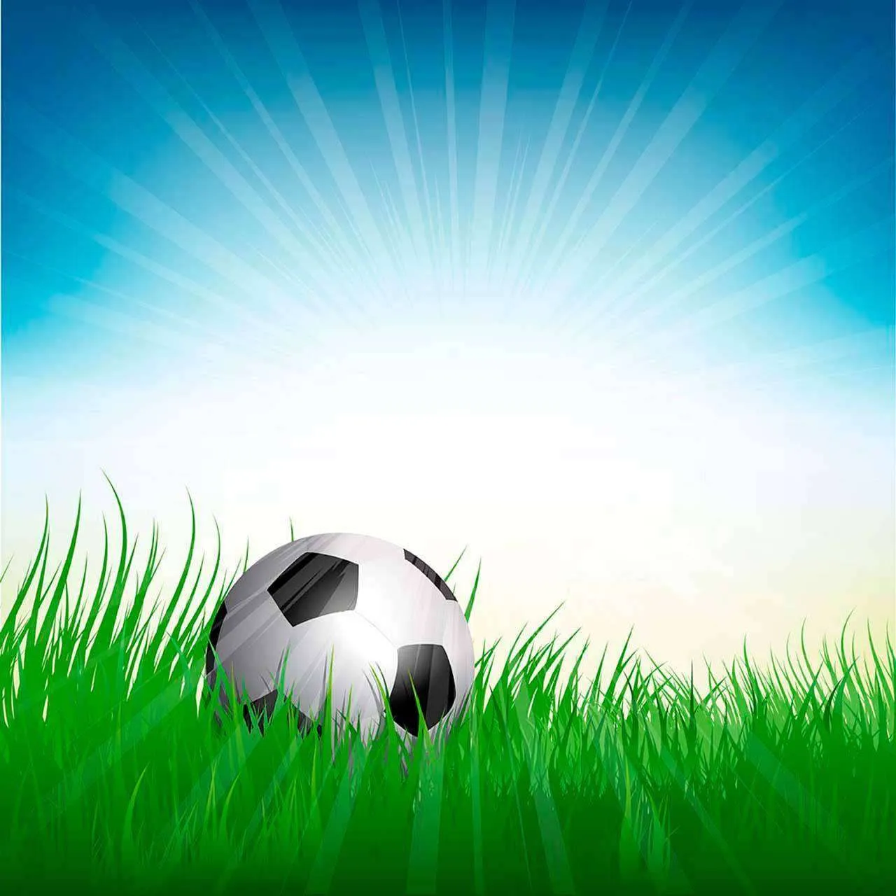 Фотообои в интерьере мяч в траве на солнце  12-551 фото