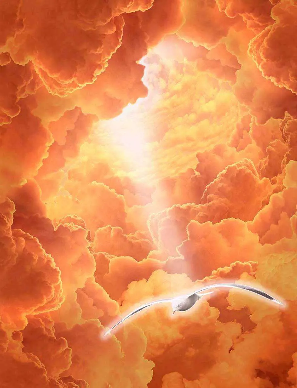 Фотообои в интерьере птица и красные облака  7-323 фото