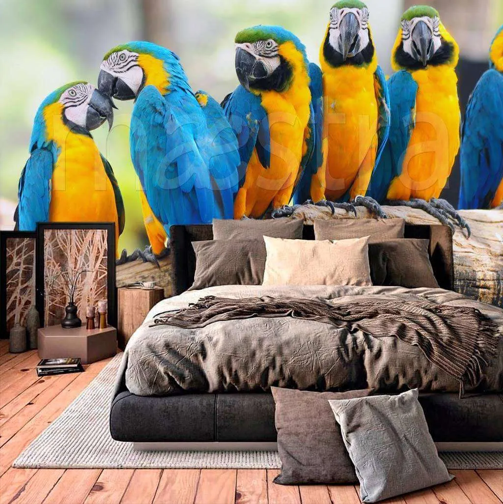 Фотообои Попугаи  4-177