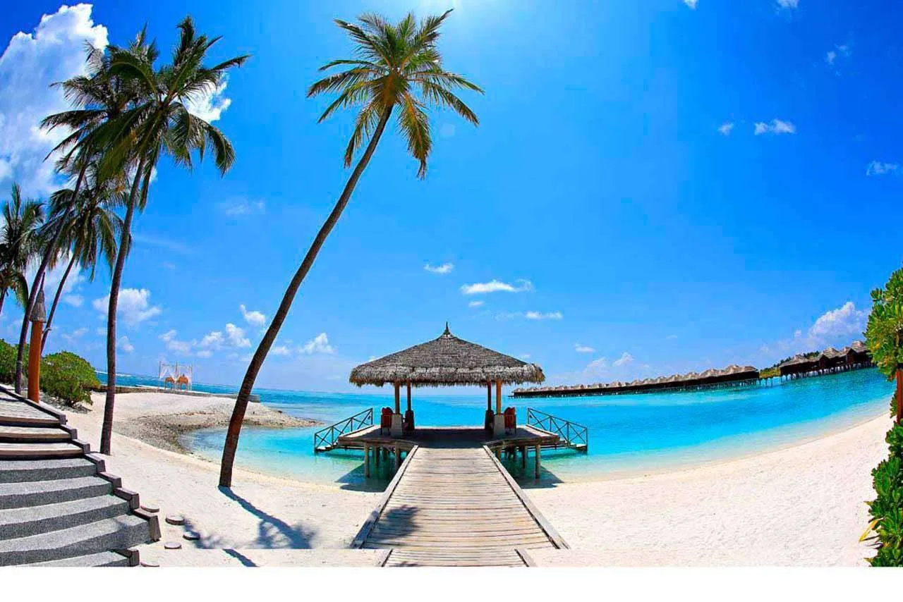 Фотообои в интерьере дорога на пляж  4-362 фото