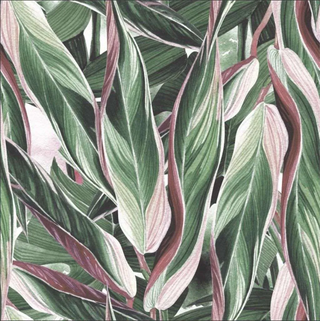 Фотообои в интерьере листья строманты  9-1665 фото