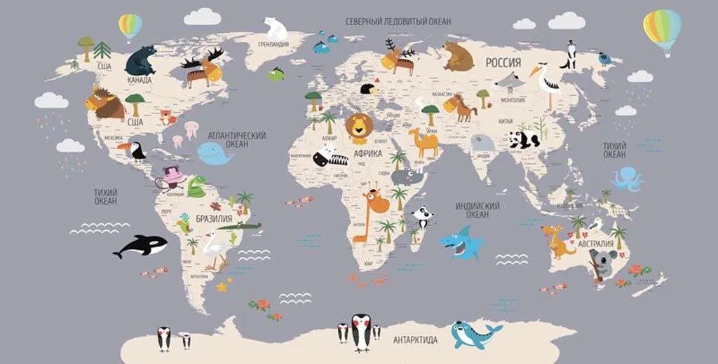 Фотообои в интерьере карта цветная на сером фоне  12-1009 фото