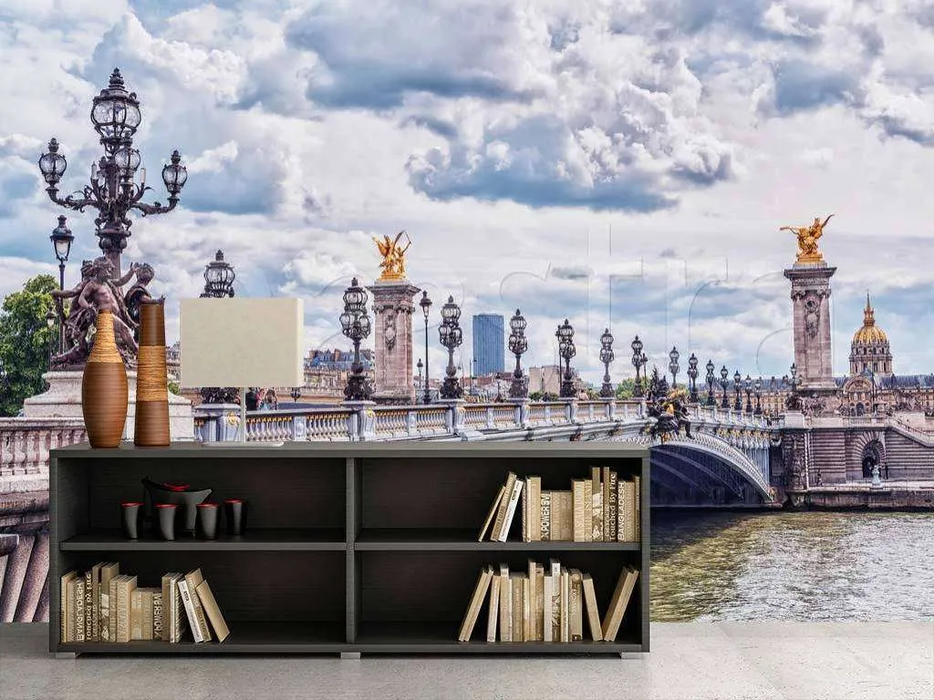 Фотообои в интерьере мост в париже и серое небо  9-769 фото