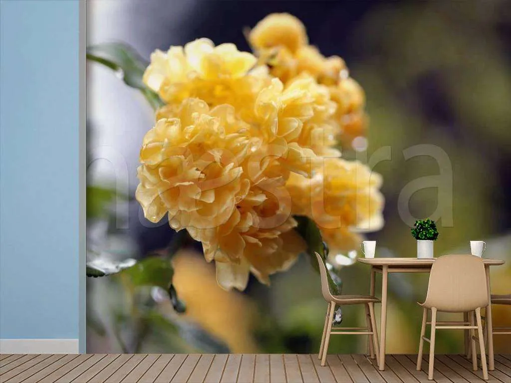 Фотообои Большие желтые цветы  4-041