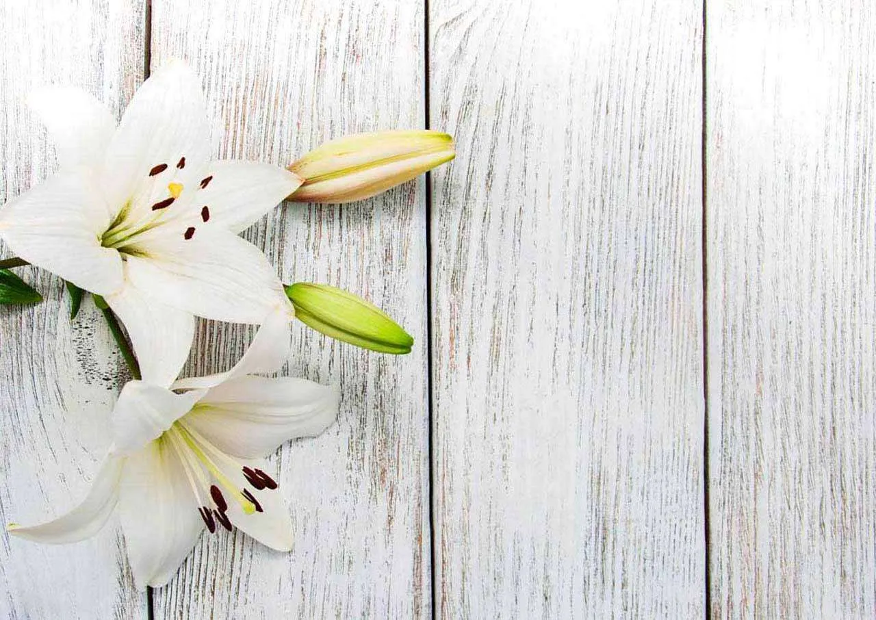Фотообои в интерьере лилии на фоне дерева  10-375 фото
