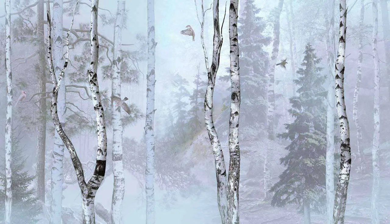 Фотообои в интерьере птицы в березовом лесу  13-073 фото