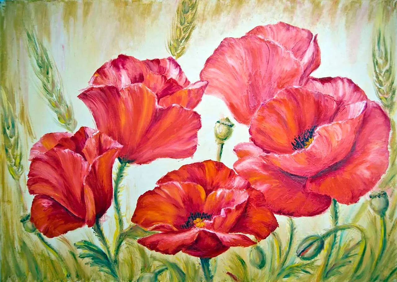 Фотообои в интерьере красный мак в поле  9-120 фото