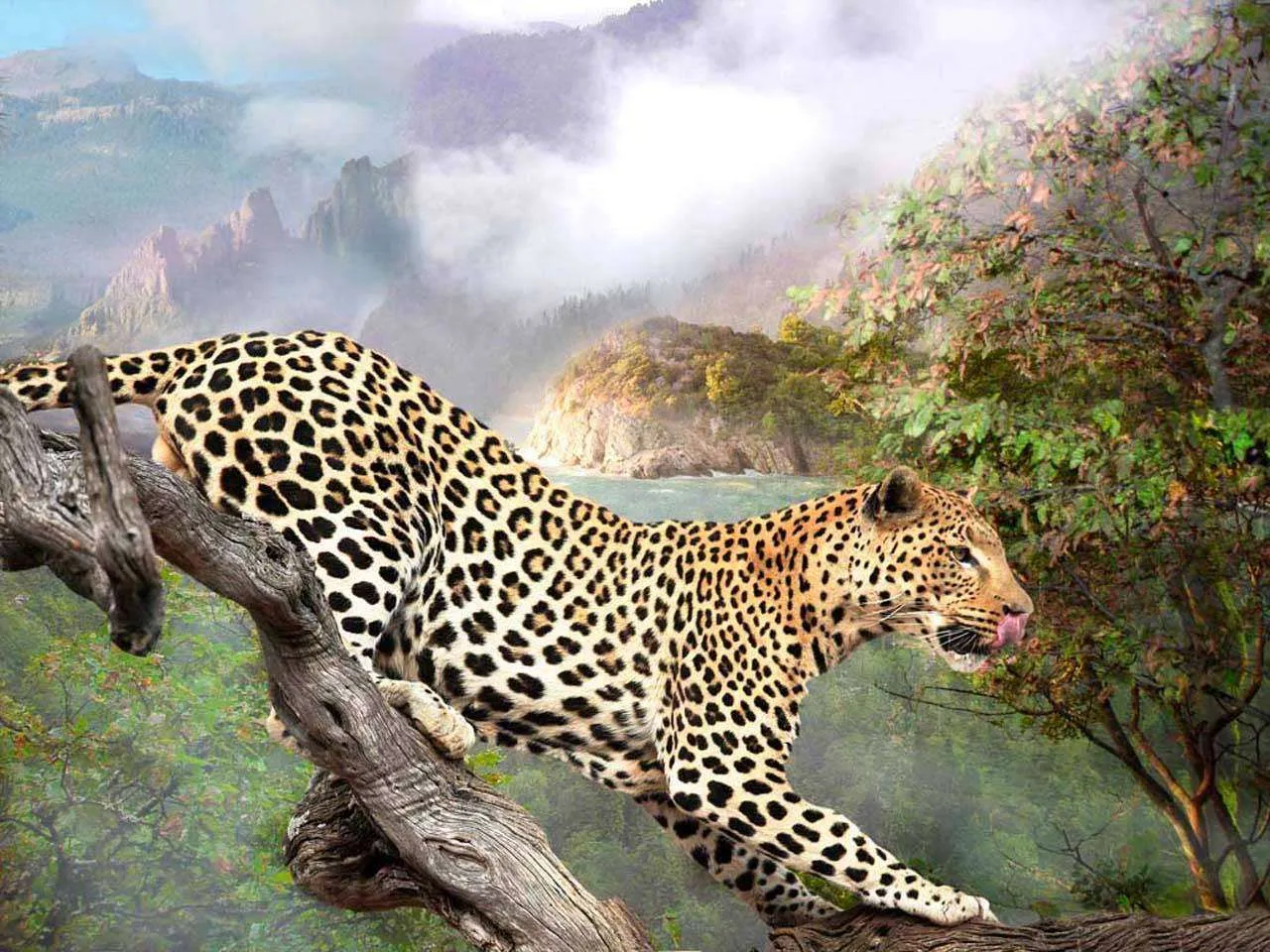 Фотообои в интерьере леопард на охоте  3-077 фото