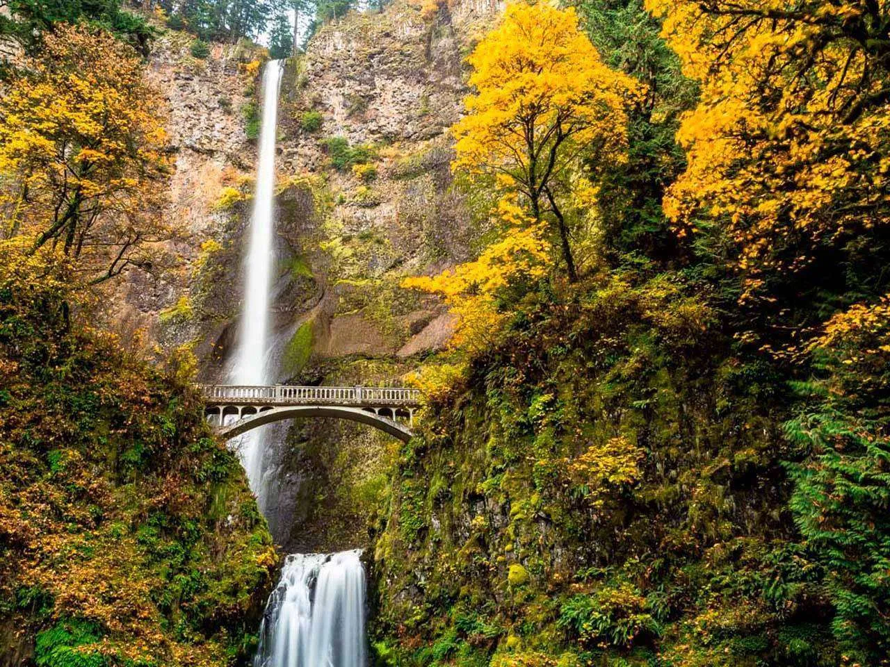 Фотообои в интерьере водопад с обрыва  4-379 фото