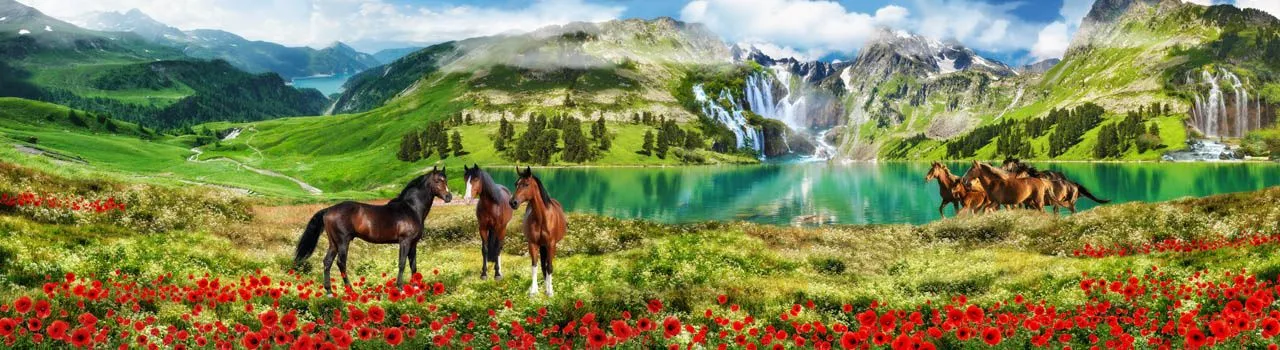 Фотообои в интерьере кони на природе  19-0048 фото