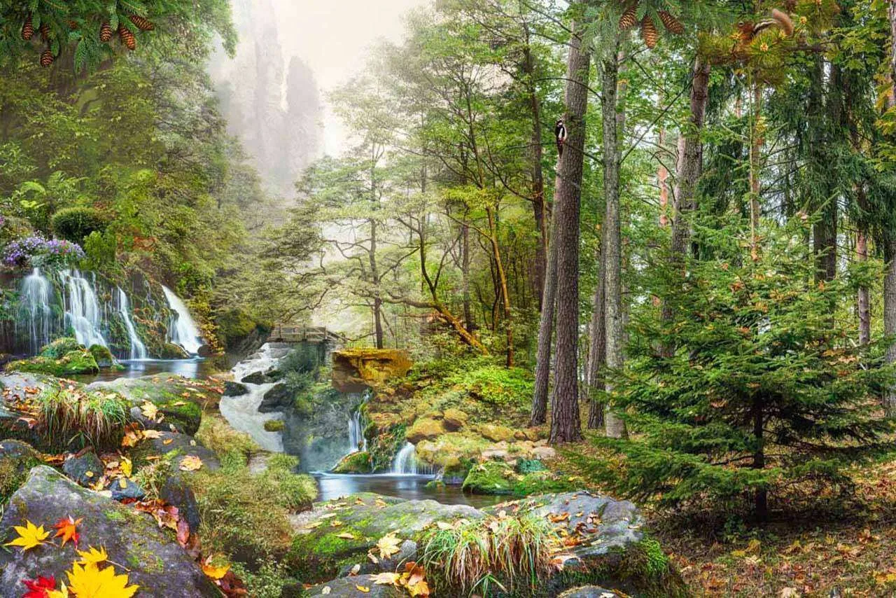 Фотообои в интерьере лес с водопадом под солнцем  7-250 фото