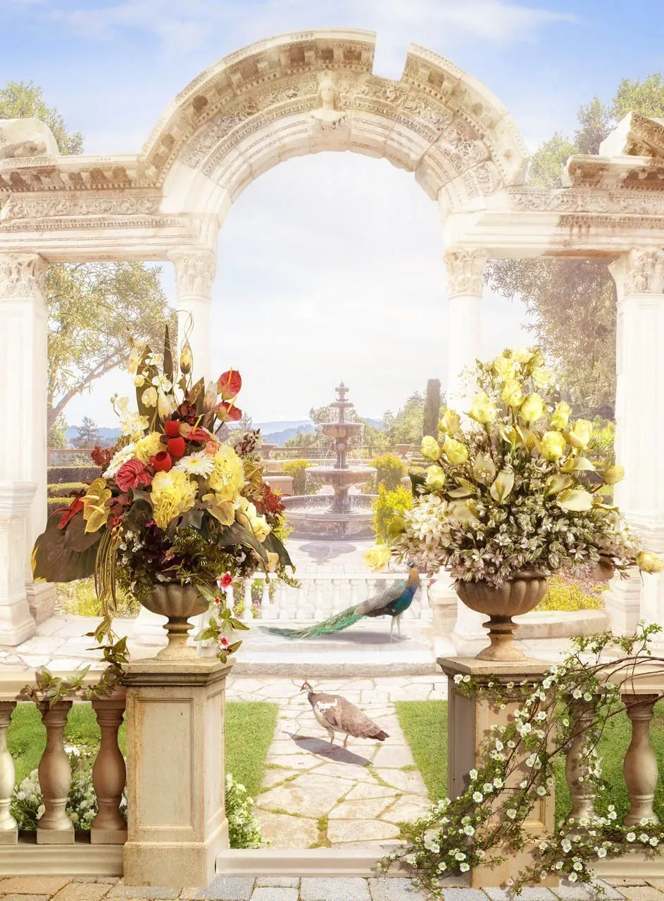 Фотообои в интерьере арка с павлинами  19-0077 фото