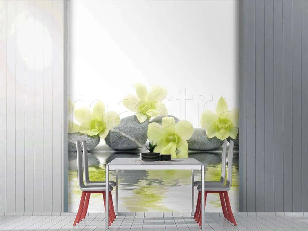 Фотообои Орхидея на камнях  10-201