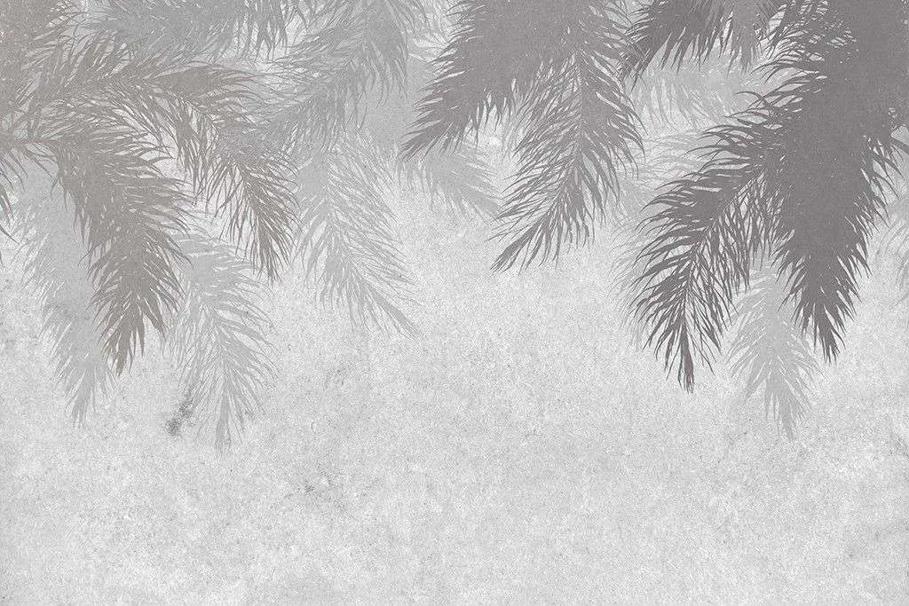 Фотообои в интерьере тёмные перья на сером фоне  9-1717 фото