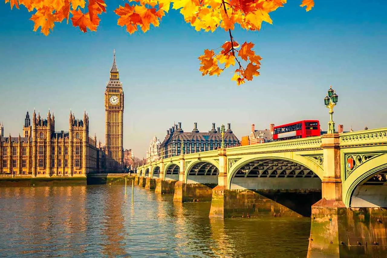 Фотообои в интерьере желтая листва в лондоне  9-502 фото