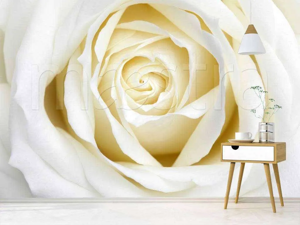 Фотообои Бесшовные обои на стену:  Белая роза роскошная. Артикул: 10-227  