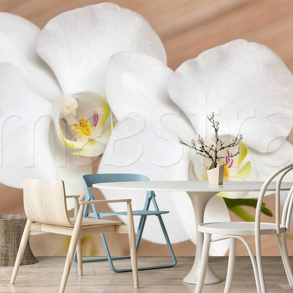 Фотообои в интерьере белая орхидея изящная  10-160 фото