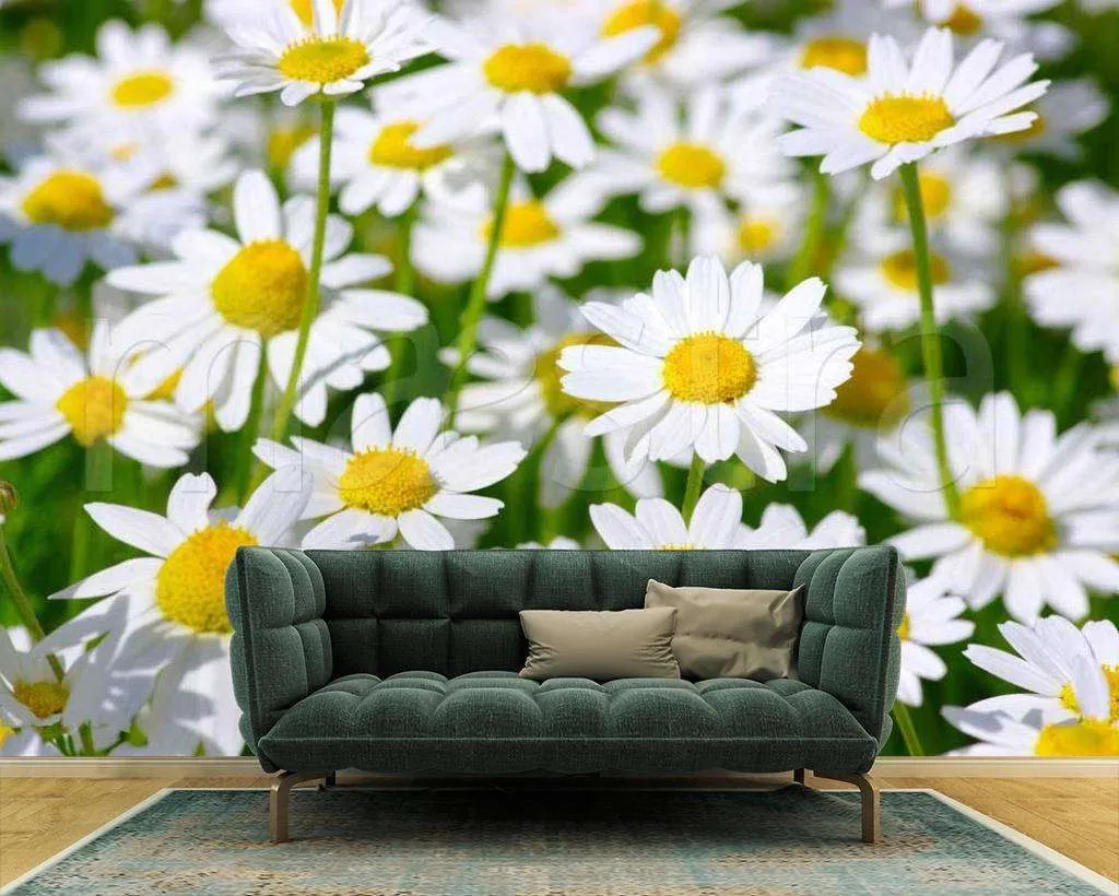 Фотообои Бесшовные обои на стену:  Ромашковое поле. Артикул: 10-353  