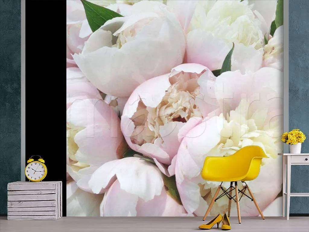 Фотообои Бесшовные обои на стену:  Белые пионы. Артикул: 9-101  
